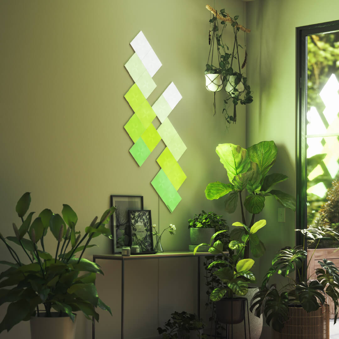 Canvas Expansion Pack (4 Panels)