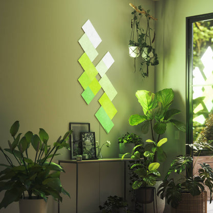 Canvas Expansion Pack (4 Panels)